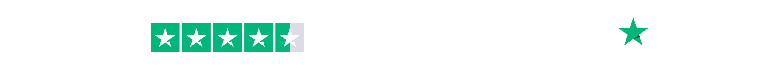 Volledige TrustPilot balk (8)